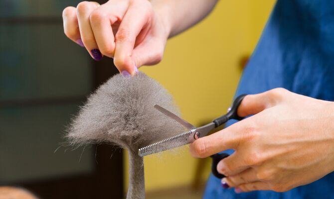 AdobeStock_159014452