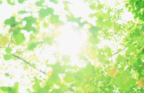 市川からも近い小岩にあるペットサロンのFortuna~フォルトゥナ~