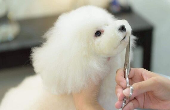 市川からも近く一時お預かりのご利用に便利なFortuna